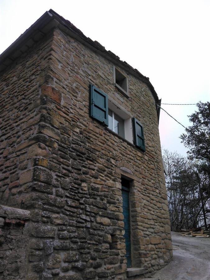 Agriturismo Il Regno Del Marrone Castel del Rio 외부 사진